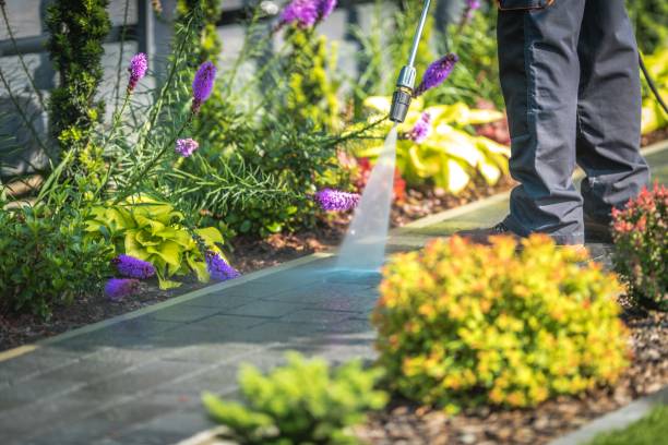 Best Fence Cleaning  in Burton, OH